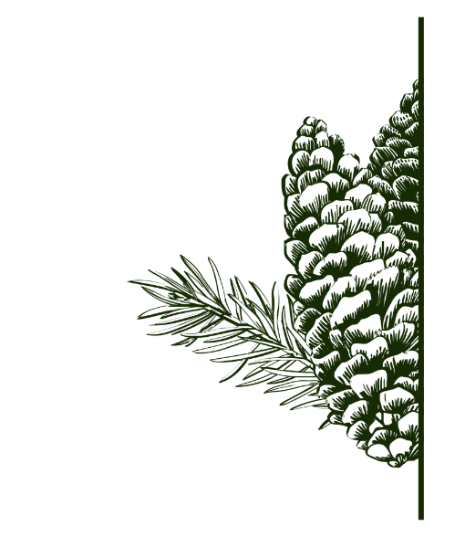 SelenTonikum